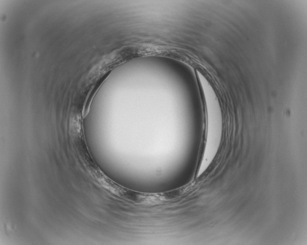 X0000067000621200604241406