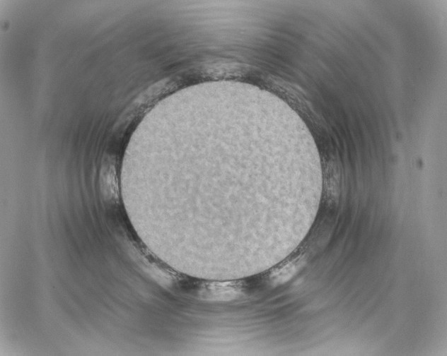 X0000067000622200604241406