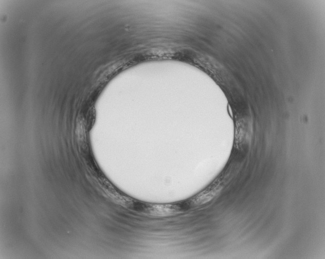 X0000067000623200604241406