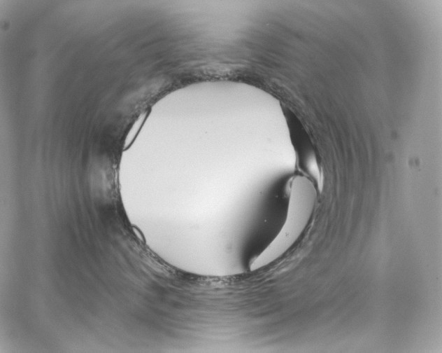 X0000067000624200604241406