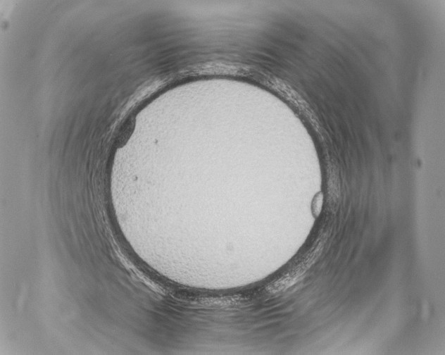 X0000067000625200604241405