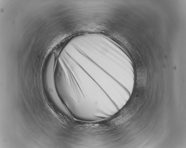 X0000067000626200604241405