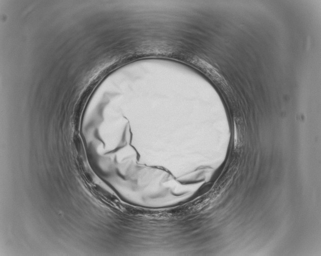 X0000067000627200604241405