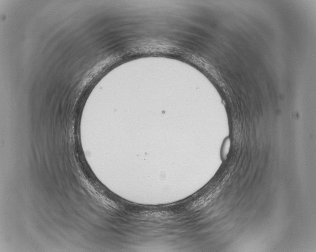 X0000067000629200604241405