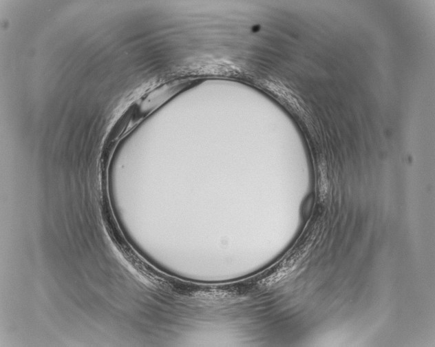 X0000067000630200604241405