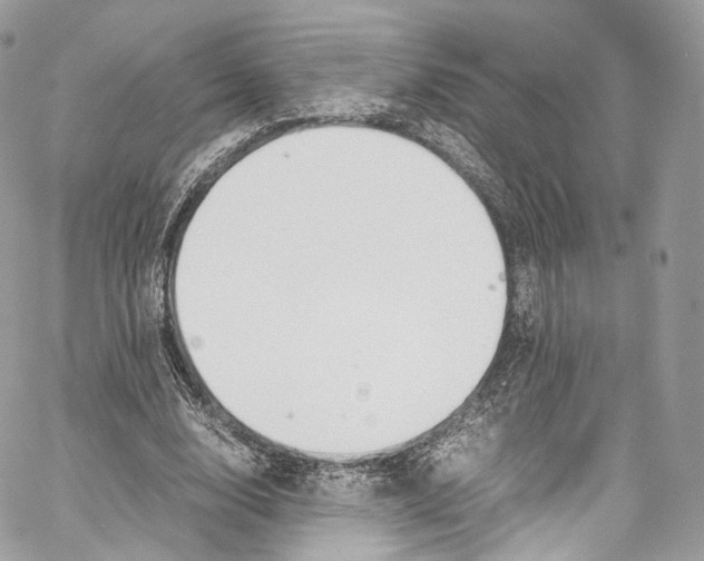 X0000067000632200604241405