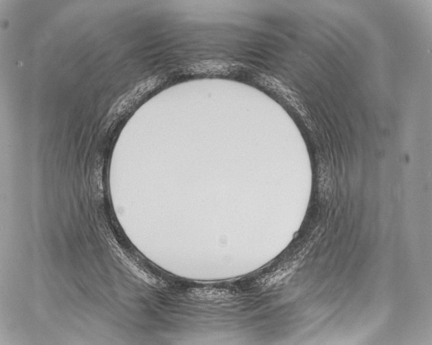 X0000067000633200604241405