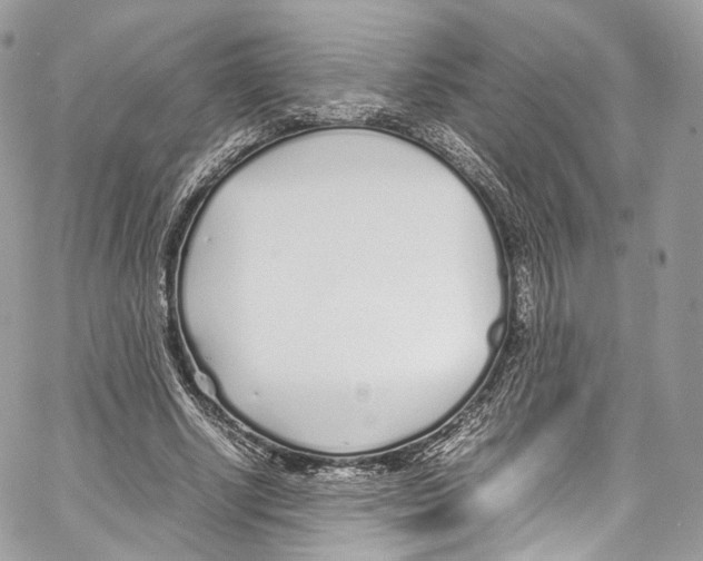 X0000067000634200604241405