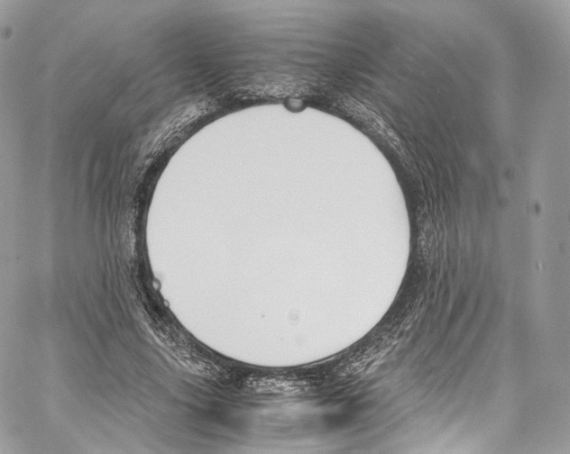 X0000067000635200604241405