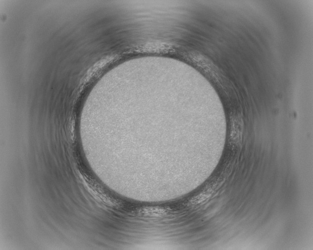 X0000067000636200604241405