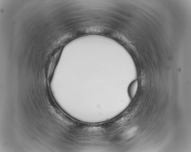 X0000067000637200604241405