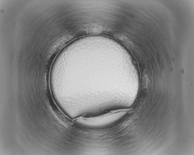 X0000067000638200604241405