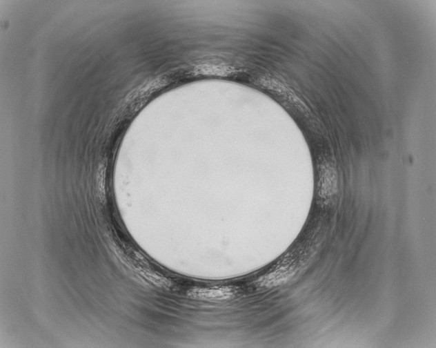 X0000067000639200604241405