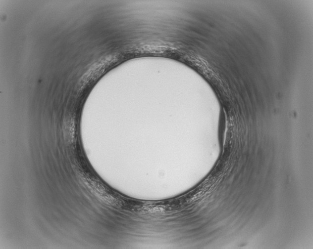 X0000067000640200604241405