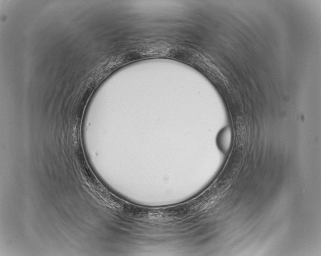 X0000067000641200604241405