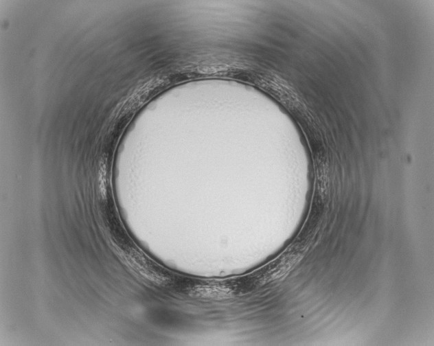 X0000067000644200604241405