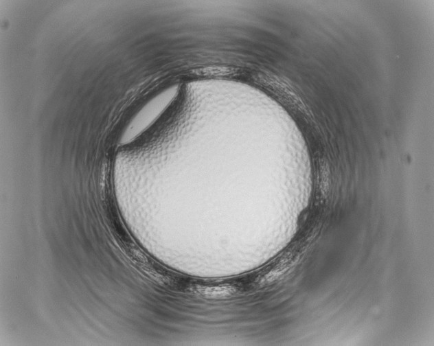 X0000067000645200604241405