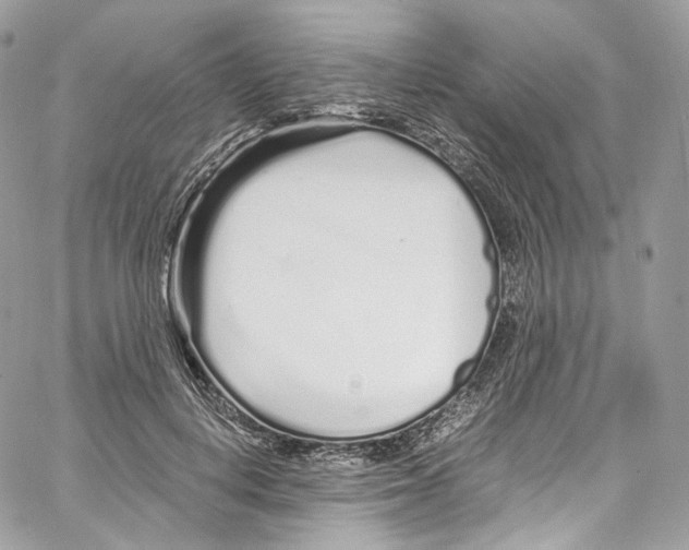 X0000067000648200604241405