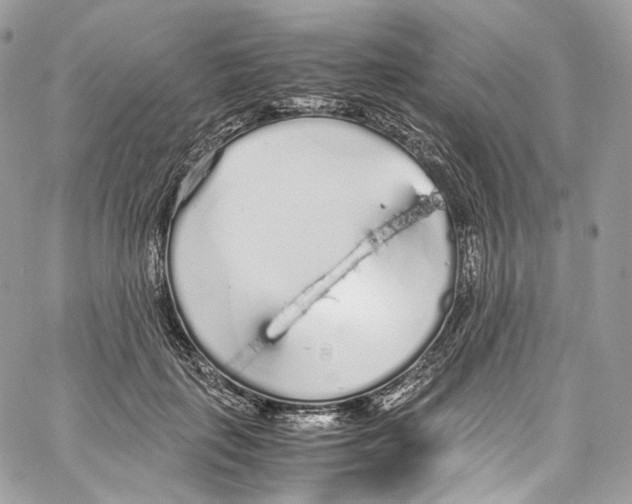 X0000067000651200604241405