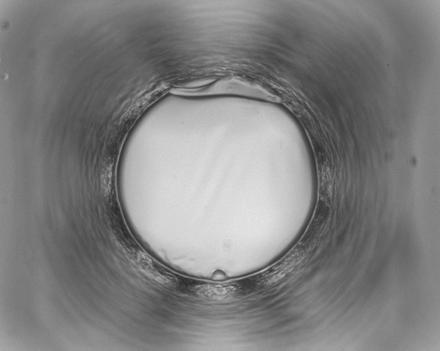 X0000067000652200604241405