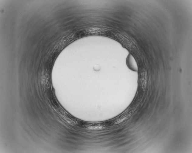 X0000067000653200604241405