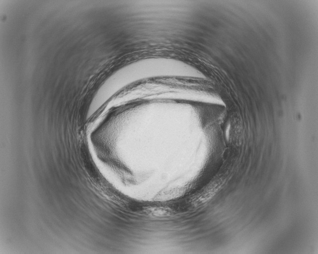 X0000067000654200604241405