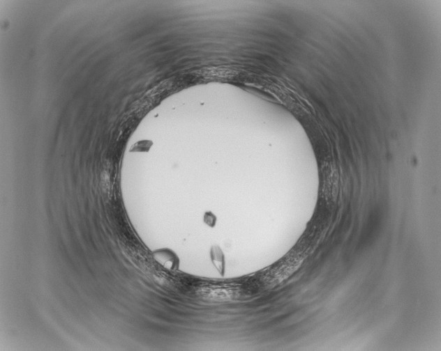 X0000067000655200604241405