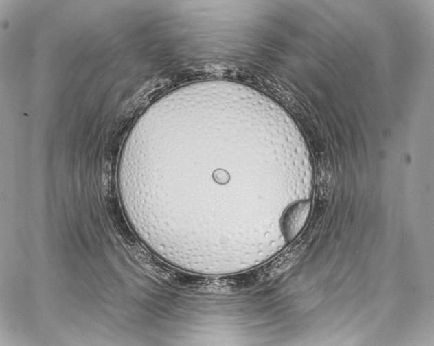 X0000067000656200604241405