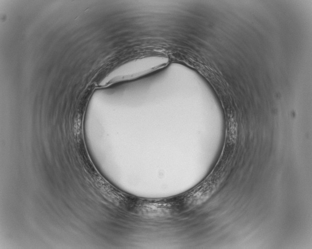 X0000067000657200604241405