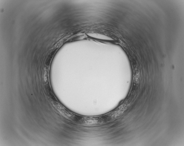 X0000067000658200604241405