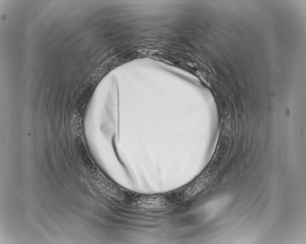 X0000067000659200604241405