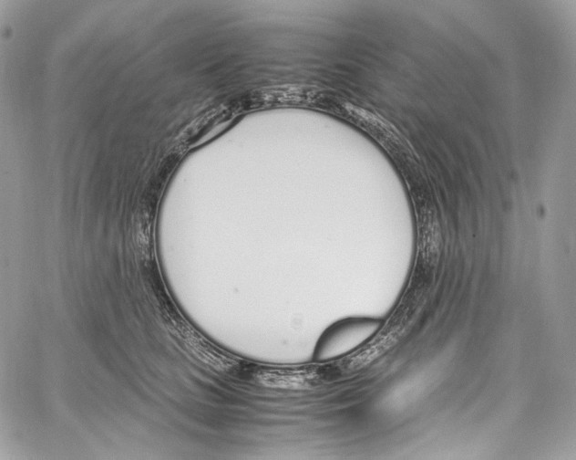 X0000067000661200604241405