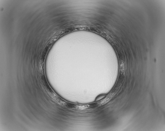 X0000067000662200604241405