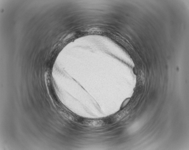 X0000067000663200604241405