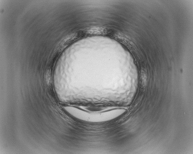 X0000067000665200604241406