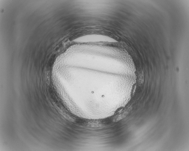 X0000067000666200604241406