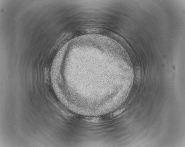 X0000067000667200604241406