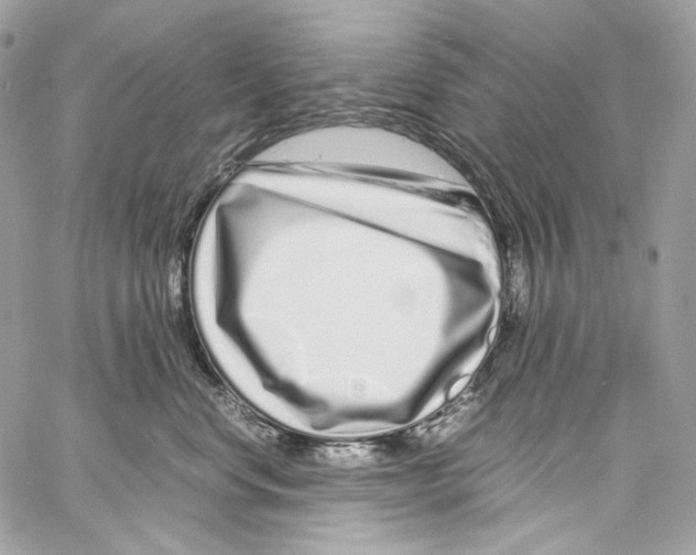 X0000067000668200604241406