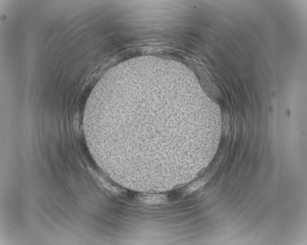 X0000067000670200604241406