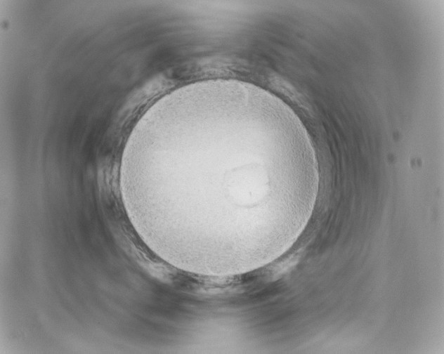 X0000067000672200604241406