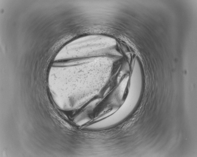 X0000067000673200604241405