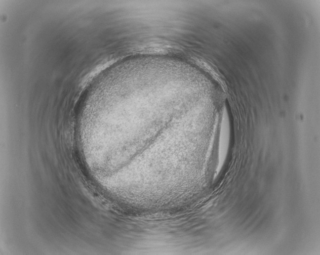 X0000067000675200604241405