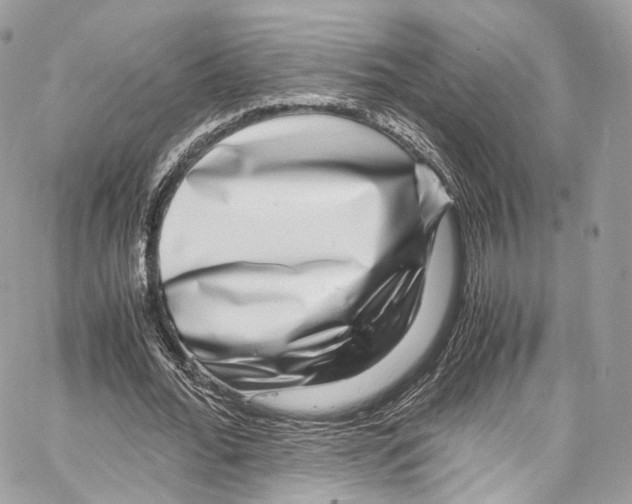 X0000067000676200604241405