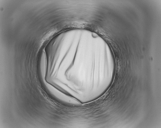 X0000067000679200604241405