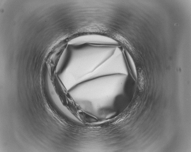 X0000067000680200604241405