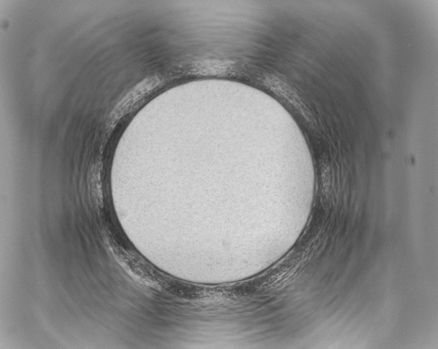 X0000067000682200604241405