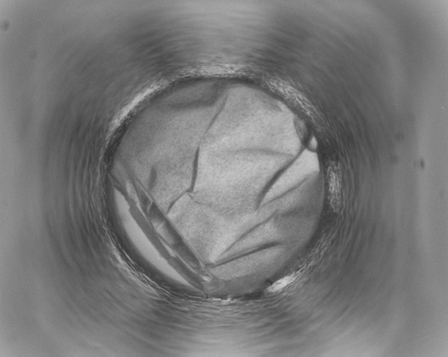 X0000067000684200604241405