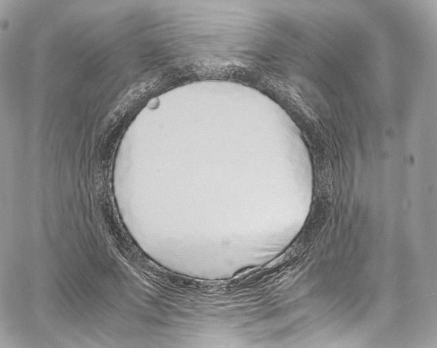 X0000067000687200604241405