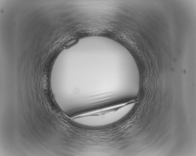 X0000067000689200604241405