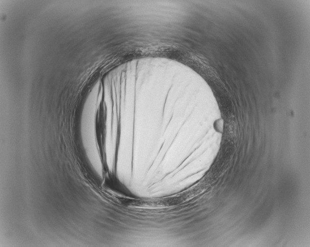 X0000067000691200604241405